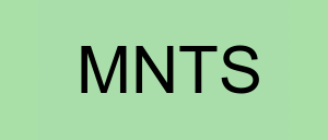 Stock mnts logo