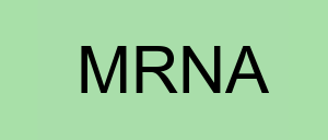 Stock mrna logo