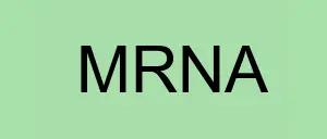 Stock  logo