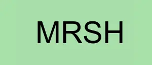 Stock  logo