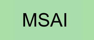 Stock msai logo