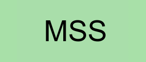 Stock mss logo