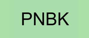 Stock pnbk logo