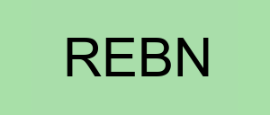 Stock rebn logo