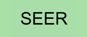 Stock seer logo