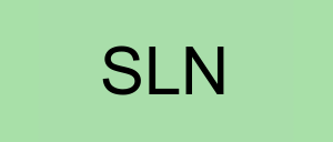 Stock sln logo