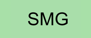 Stock smg logo
