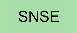 Stock snse logo