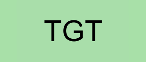 Stock tgt logo
